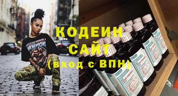 молекула духа Ростов