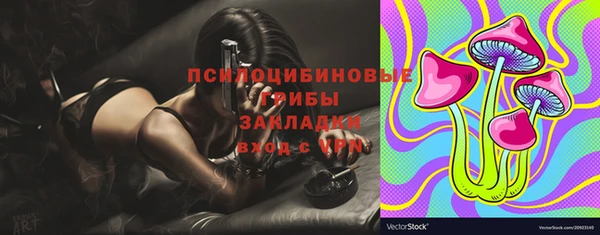 герыч Алексин