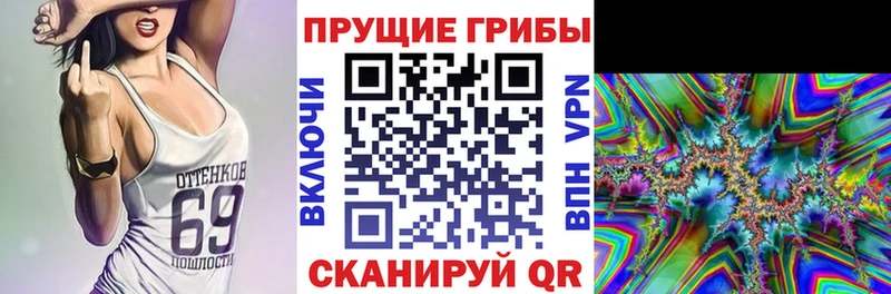 продажа наркотиков  Нижний Ломов  Псилоцибиновые грибы GOLDEN TEACHER 